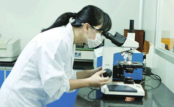 專業(yè)團(tuán)隊(duì)